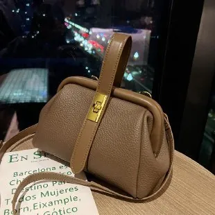 Women's Retro Litchi Pattern PU Leather Handbag Gold Metal Twist Lock Doctor Bag Small Square Crossbody Shoulder Bag