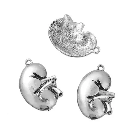 Pendentif Organe Rénal Humain en Alliage de Zinc Argent Antique Anatomique Gothique Halloween DIY Accessoire Bijoux