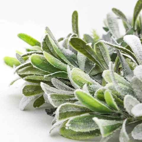 Artificial Flocked Rabbit Ear Leaf Christmas Wreath Green White Snow Frost Garland For Front Door Holiday Decoration