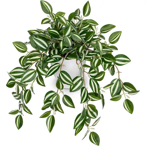 Realistic Artificial Hanging Plants Striped Leaves Wandering Jew Peperomia In Pot For Home Office Indoor Greenery Decor