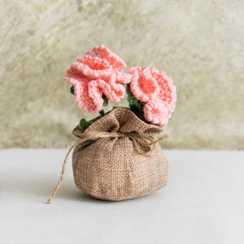 Handmade Crochet Carnation Potted Plant Artificial Flower Ornament Mothers Day Gift Table Decor Knitted Yarn Flowers Burlap