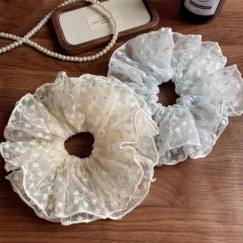 Französisch Retro Floral Spitze Mesh Haargummi Für Damen Elegant Stickerei Haarschmuck Für Hoher Pferdeschwanz Dutt Styling