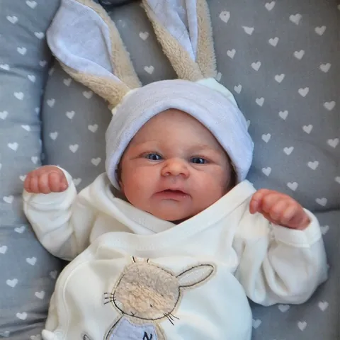 Lifelike Reborn Baby Doll Realistic Silicone Newborn Doll With Rabbit Outfit Visible Veins Skin Handmade Collection Toy Kids Gift