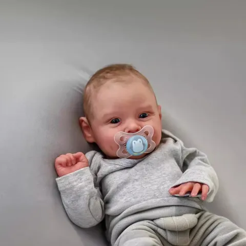 50cm Realistic Reborn Baby Doll Silicone Vinyl Full Body Waterproof Newborn Toy Grey Hoodie Diaper Pacifier Role Play Gift