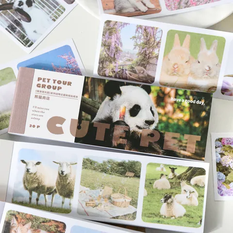 Washi Papier Stickerboek Pet Tour Group Dier Panda Kat Hond Konijn Landschap Scrapbooking Decoratie Materiaal Briefpapier