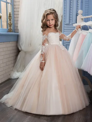 Girls Long Sleeve Lace Embroidery Mesh Princess Dress Floor Length Flower Girl Wedding Party Gown Ball Gown