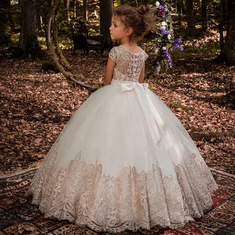 Girl's Flower Girl Lace Sleeveless Princess Dress For Wedding Party Birthday Pageant Formal Embroidery Mesh Tulle Gown