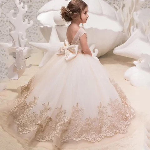 Girls Flower Girl Dress Lace Embroidery Sleeveless Ball Gown Puffy Tulle Princess Gown For Wedding Birthday Party