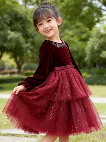 Girls Wine Red Long Sleeve Princess Dress Korean Velvet Mesh Tulle Gown Sequins Birthday Party Performance Formal Dress