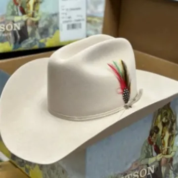 Westerse Cowboy Puur Wol Vilten Hoed met Verendecoratie Mode Fedora Brede Rand Zonnehoed voor Heren Vrouwen Casual Outdoor Sombrero Stijl
