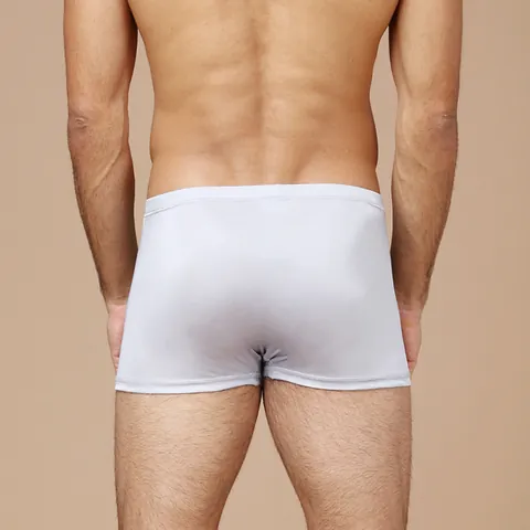 Men's Pure Mulberry Silk Boxer Briefs Breathable Seamless Knitted Mid Waist Underwear Skin Friendly Solid Color High Grade Briefs For Men