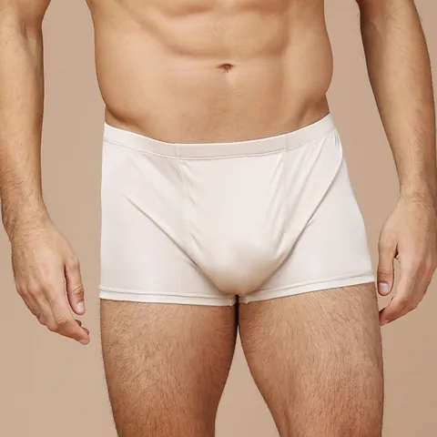 Men's Pure Mulberry Silk Boxer Briefs Breathable Seamless Knitted Mid Waist Underwear Skin Friendly Solid Color High Grade Briefs For Men