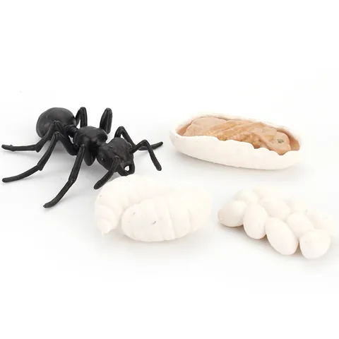 Realistic Animal Life Cycle Growth Simulation Models Solid PVC Frog Chick Turtle Ant Mosquito Educational Biology Science Montessori Toys