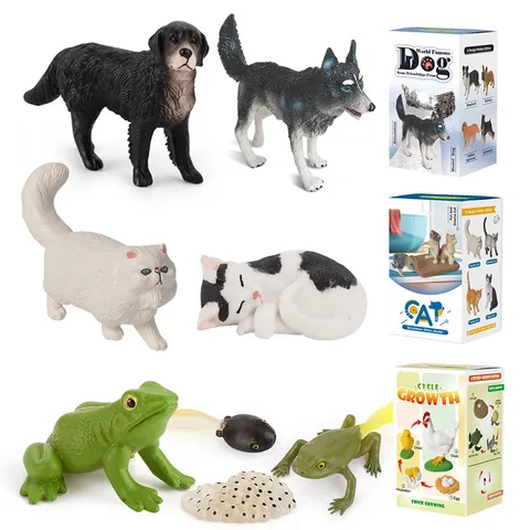 Giocattolo Realistico a Forma di Animale in PVC Simulazione Cane Gatto Modello Ciclo di Crescita Biologica Regalo Educativo per Bambini