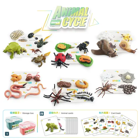Realistic Animal Growth Life Cycle Simulation Model Frog Snail Ladybug Earthworm Mosquito Spider Educational Toys With Box Cards