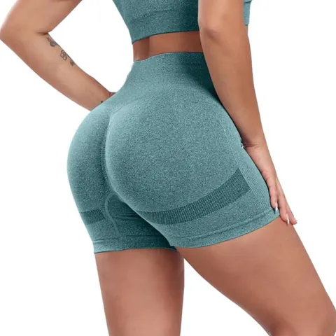 High Waisted Seamless Yoga Shorts For Womens Scrunch Butt Lifting Running Shorts Tummy Control Gym Fitness Workout Bottoms