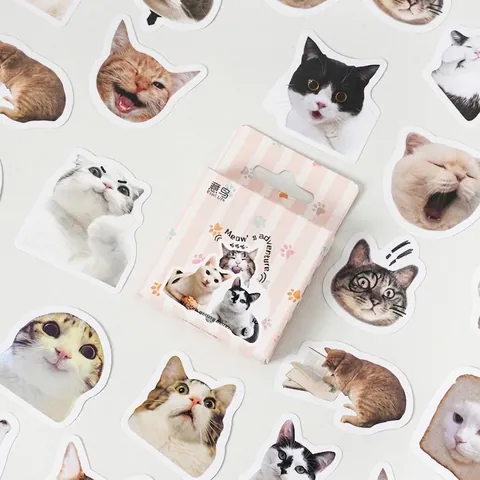 Boxed Cat Meme Stickers Cute Animal DIY Decorative Labels For Scrapbooking Journaling Laptop Phone Gift Sealing Stickers