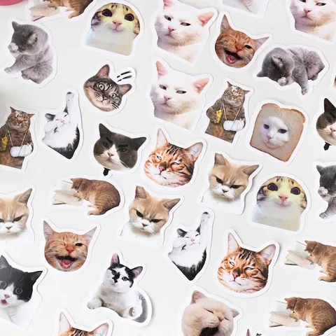 Boxed Cat Meme Stickers Cute Animal DIY Decorative Labels For Scrapbooking Journaling Laptop Phone Gift Sealing Stickers