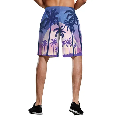Short de Plage pour Hommes à Séchage Rapide Avec Imprimé Tropical Taille Élastique Cordon de Serrage Maillot de Bain pour Vacances d'Été Surf Board Shorts