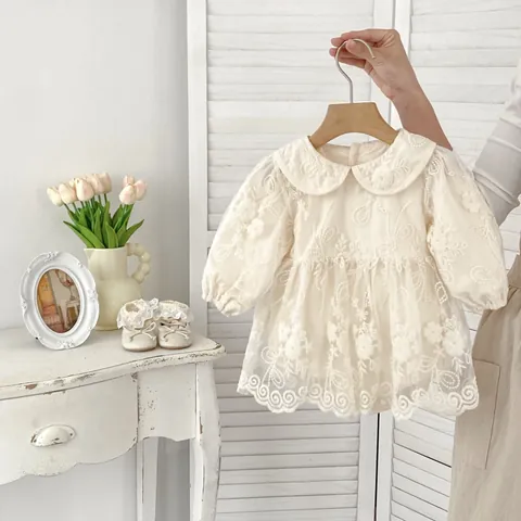 Infant Baby Girl Lace Embroidery Princess Dress Romper Long Sleeve Cotton Mesh Bodysuit For Hundred Days Banquet Wedding Party