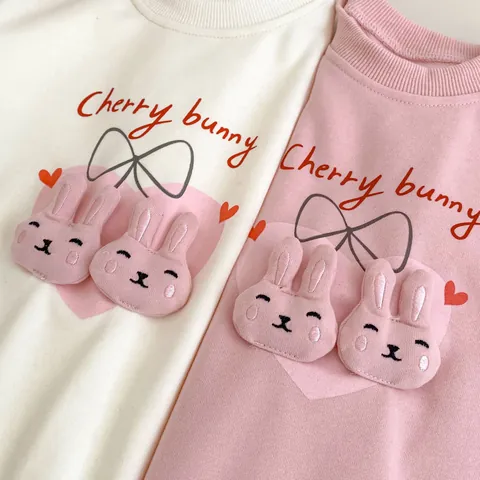Schattig Geborduurd Baby Kruippakje Lange Mouw Katoen 3D Appliqué Konijn Hart Patroon Pasgeboren Herfst Jumpsuit
