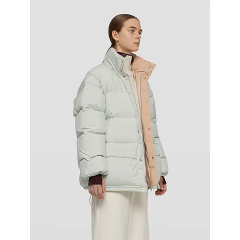 Dames Witte Ganzendons Jas Minimalistisch Opstaande Kraag Oversized Gewatteerde Jas Dikke Winter Bovenkleding Grote Zakken