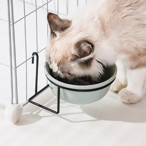 Ciotola per Gatti in Ceramica Sospesa Con Supporto a Gancio in Metallo Antiribaltamento Ciotola per Cibo e Acqua 13cm