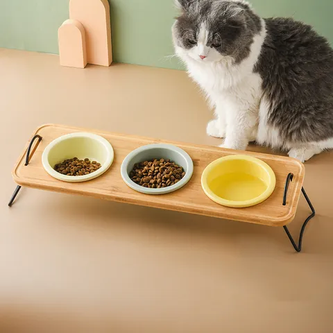 Ceramic Cat Bowl with Bamboo Wood Stand Tilted Elevated Raised Pet Feeder Food Water Neck Protection Minimalist Small Dog Bowl