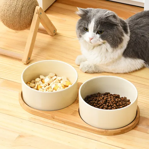 Elevated Ceramic Cat Bowl With Bamboo Wood Stand For Neck Protection Macaron Color Pet Food Water Bowl For Cats Small Dogs