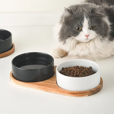 Matte Keramiek Voerbak Set Voor Huisdieren Met Acaciahouten Dienblad Verhoogde Kat En Hond Voerbak Nekbescherming