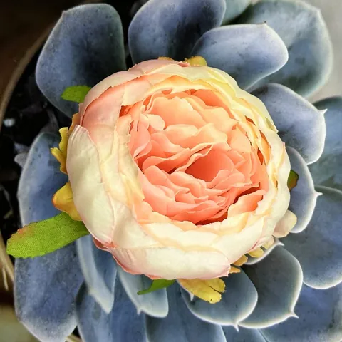 Tête de Fleur Artificielle Pivoine Rose Tissu de Soie DIY Fleurs Faites à la Main pour Hanfu Mariage Maison Décoration