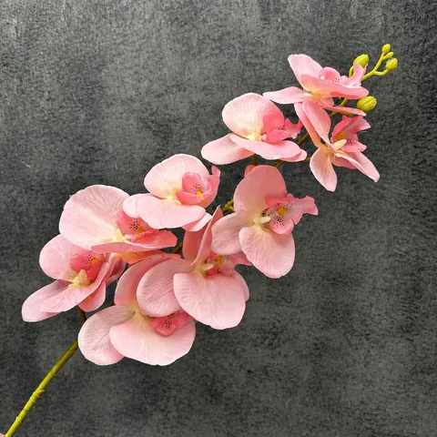 3D Gedruckte 9 Köpfe Schmetterlingsorchidee Künstliche Blume Seide Phalaenopsis Einzelner Zweig Für Hochzeit Haus Deko Fotografie