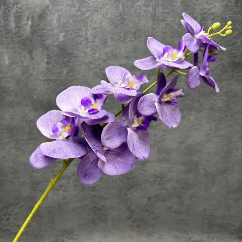 3D Gedruckte 9 Köpfe Schmetterlingsorchidee Künstliche Blume Seide Phalaenopsis Einzelner Zweig Für Hochzeit Haus Deko Fotografie