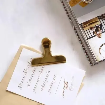 Nordic Stainless Steel Binder Clip Gold Rose Gold Bulldog Clip For Food Sealing Document Holder Office Home Metal Organizer