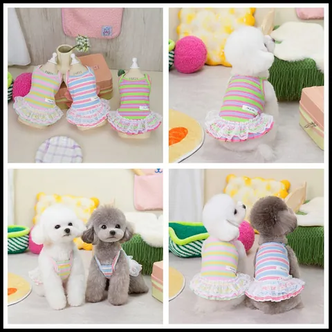 Süßes Regenbogen Gestreiftes Haustierkleid Baumwollmischung Spitzenbesatz Prinzessin Welpe Kätzchen Sommerbekleidung Atmungsaktive Hund Katze Kleidung