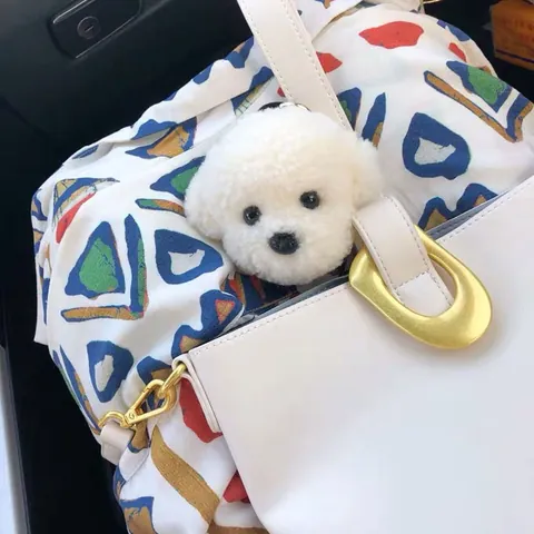 Cartoon Bichon Teddy Dog Plush Bag Charm Sherpa Puppy Keychain For Women Bags Decoration Cute Animal Keyring Birthday Gift