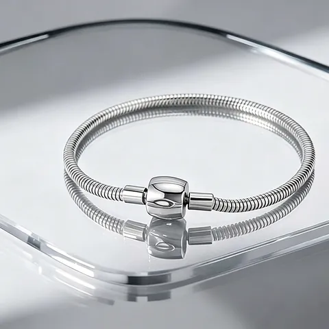 Titanium Steel Snake Chain Bracelet Gold Silver Tone Minimalist DIY Charm Base Jewelry With Heart Crown Shell Clasp