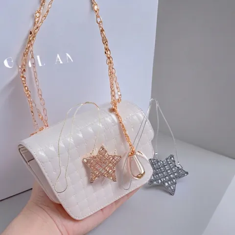 Bolso Bandolera De Estrella En Metal Calado Mini Bolsa De Lápiz Labial Con Cadena De Serpiente Para Mujer Moda Decorativo
