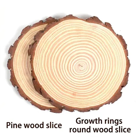 Natural Pine Wood Slices Round Unfinished Wood Rounds With Bark For DIY Crafts Christmas Ornaments Wedding Decor Coasters