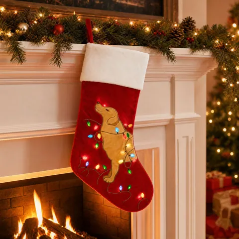 LED Beleuchteter Nikolausstiefel Golden Retriever Muster Rot Weiß Samt Polyester Feiertag Kamin Aufhängen Geschenktüte