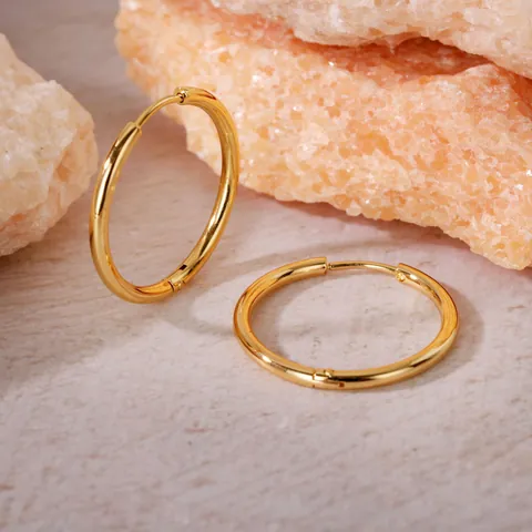 Orecchini A Cerchio Minimalisti In Acciaio Inossidabile Spessi Geometrici Gioielli Di Moda Per Donna