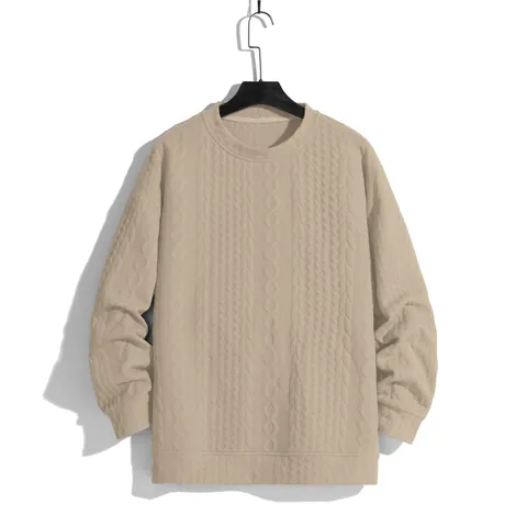 Heren Casual Ronde Hals Lange Mouwen Sweatshirt Met Kabelbreisel Effen Kleur Ruime Pasvorm Lente Herfst Winter Top