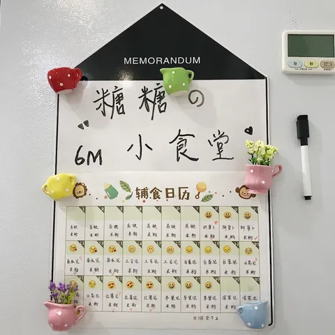 Mini Calamite da Frigo in Resina Sintetica con Piante Artificiali 3D Simpatici Vasetti Decorativi Magnetici per la Casa