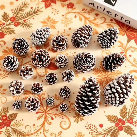 Natural Pine Cones Christmas Tree Decorations Snowy White Wood Cones Winter DIY Crafts Holiday Ornaments Photography Props