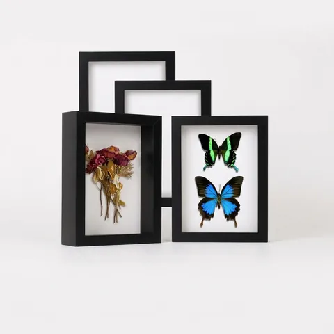 Πλαίσιο Προβολής Shadow Box Ξύλινη Θήκη Για Δείγματα Αποξηραμένα Λουλούδια Μετάλλια Φωτογραφίες Μοντέρνα Απλή Διακόσμηση Σπιτιού