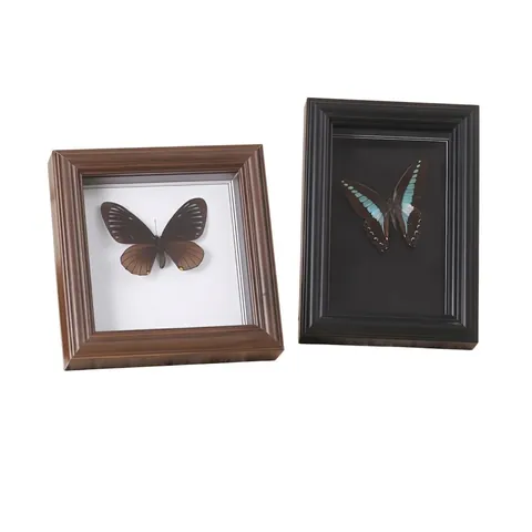 Cornice Foto Esemplare Farfalla Legno MDF Vetro Cavo Scatola Ombra Decorazione Scrivania Parete Retro Stile Europeo Casa Ufficio