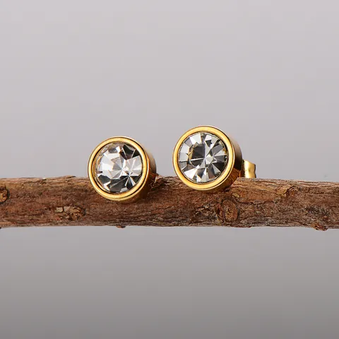 Minimalistische Geometrische Runde Zirkonia Ohrstecker Damen 304 Edelstahl Vergoldet Daily Commute Modeschmuck