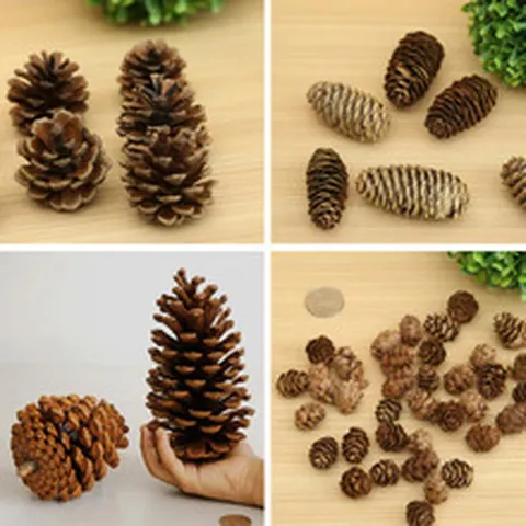 Natürliche Tannenzapfen Holz Weihnachtsdekoration DIY Handwerk Hängende Ornamente Fotografie Requisiten Rustikale Heimdekoration