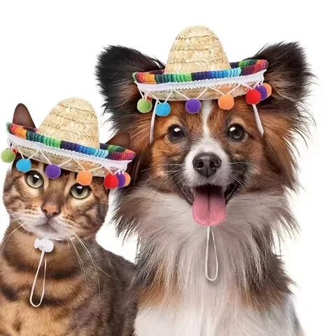 Mini Sombrero Mexicain Chapeau de Paille pour Chiens Chats Pompons Colorés Costume de Fête pour Animaux Chapeau de Soleil