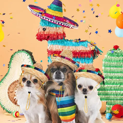 Mini Sombrero Mexicain pour Animaux Chapeau de Paille Tressée Avec Sangle Réglable Bordure Colorée pour Chiens Chats Décor Fête